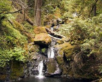 Forest Stream Wallpaper And Background X Deskpicture