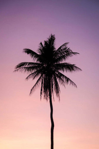 En Sie Kostenlose Dope iPhone Wallpaper