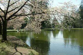 Central Park Spring Pictures Wallpaper