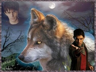 Wolf Desktop Wallpaper