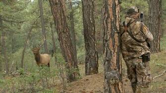 Quartering To Shot On Elk