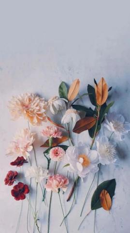 Elegant Flower Wallpaper You Need To Save Of