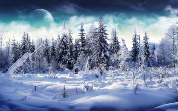 Winter Wallpaper For Your Desktop