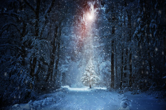 Tree On Snowy Winter Road
