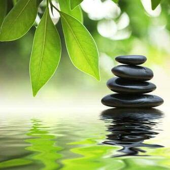 Image Populaires Zen Attitude