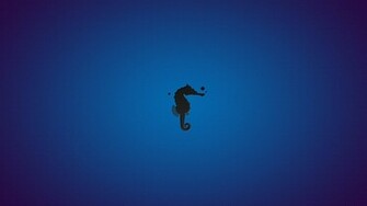 Seahorse Wallpaper By Fernandoperigolo