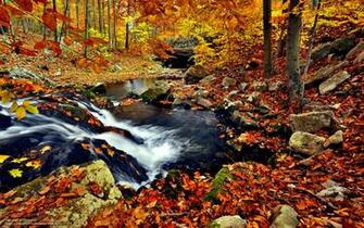 Wallpaper Autumn Creek Waterfall Desktop In