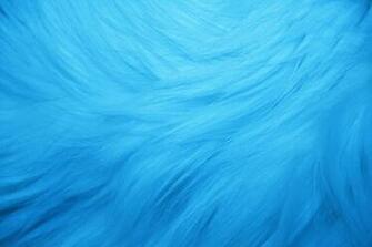 Light Blue Fur Texture High Resolution Photo Dimensions