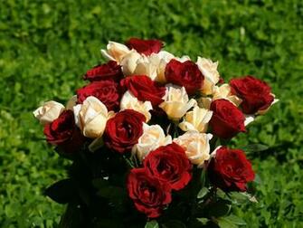 The Best Top Desktop Roses Wallpaper HD Rose Bundle Of