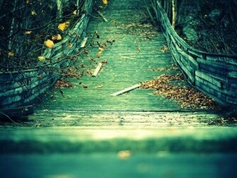 Sepia Deciduous Mac Wallpaper