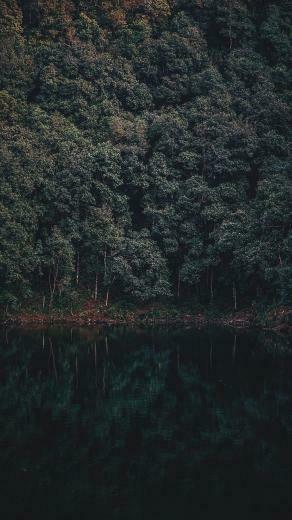 Take A Chill Pill With Mindful iPhone Wallpaper Preppy