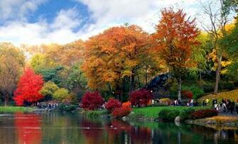 Central Park Autumn Wallpaper