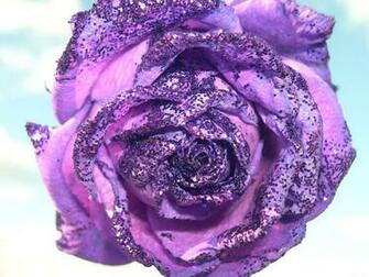 Pc And Desktop Wallpaper Flowers Pictures