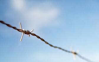 Barbed Wire Wallpaper