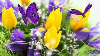 Promise Of Spring Wallpaper HD Desktopinhq