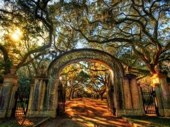 Wormsloe Savannah Georgia iPad Wallpaper