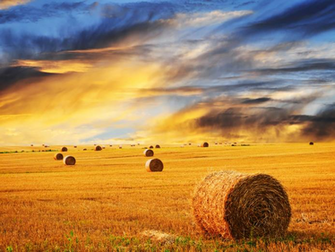HD Wallpaper Farm Dawallpaperz