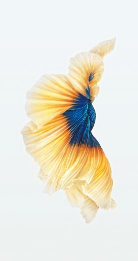 Wallpaper iPhone 6s Y iPad Pro Marcianophone