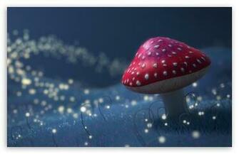 Fireflies Wallpaper