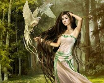 Pictures Forest Fairy Wallpaper Size
