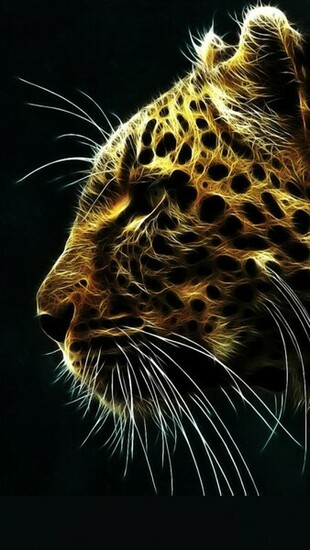 iPhone Wallpaper Top HD Of All Time