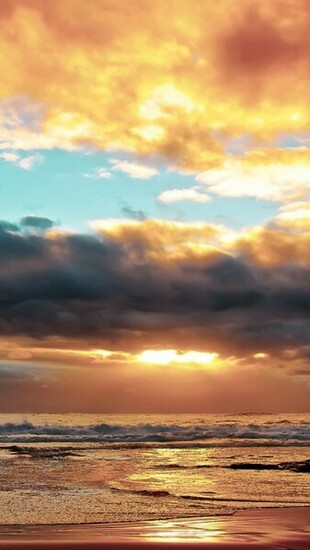 Ocean Beach Sunset HD iPhone Wallpaper