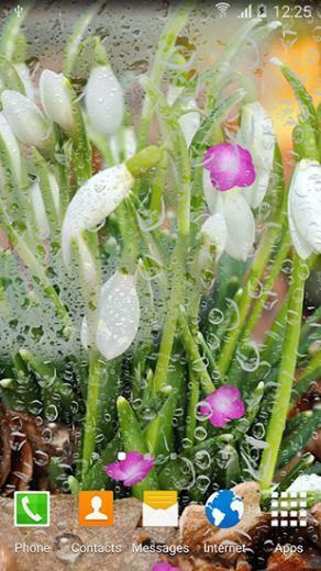 Spring Flowers Live Wallpaper Screenshots How Does It Look