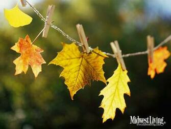 Link To Wallpaper By Midwest Living