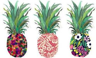 Pineapple Graphic