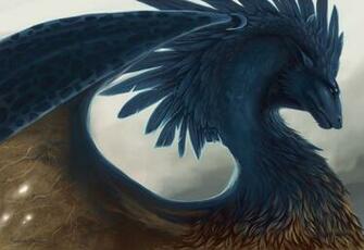 Dragon Fantasy Art Feathers Stock Photos Image HD