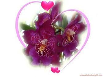 Love Wallpaper