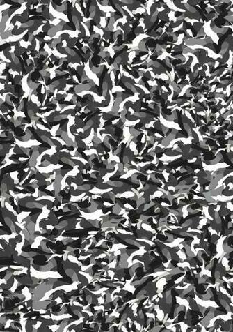 Black And White Standard Camouflage Texture By Paladin Rinon On
