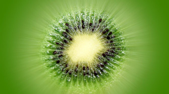 Kiwi Green Fruit Macro HD Wallpaper
