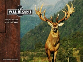 Deer Hunting Wallpaper For Computer