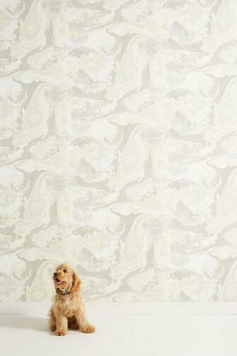Medici Marble Wallpaper Anthropologie