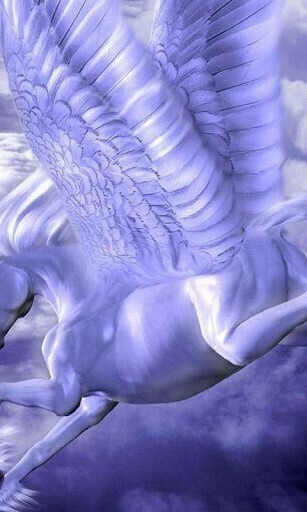 Pegasus Wallpaper App For Android