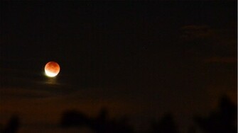 Clouds Trees Stars Moon Eclipse Air Skyscapes Lunar Wallpaper