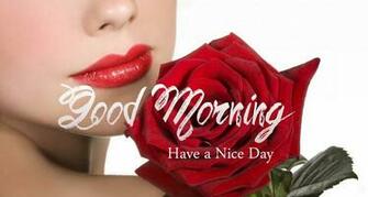 Pin Morining Romantic Theme Vista Wallpaper Windows Woods On