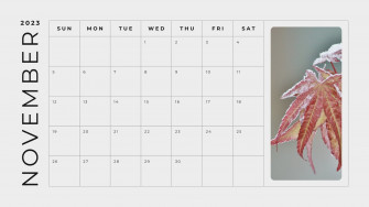 And Customizable November Templates