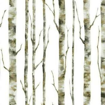 Forest Birch Tree Wallpaper Double Roll Contemporary