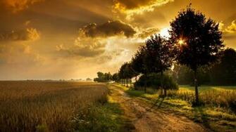 Countryside Road Wallpaper New HD Widescreen Desktop
