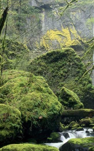 Oregon Falls National Scenic Wallpaper