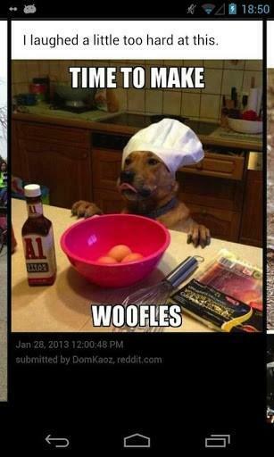 Bigger Funny Pictures For Android Screenshot