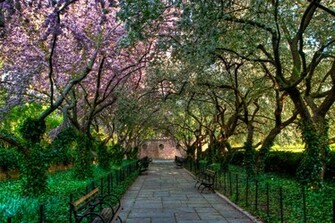 Central Park Conservatory Wallpaper