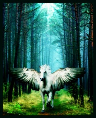 Share The Post Fantasy Horse Wallpaper