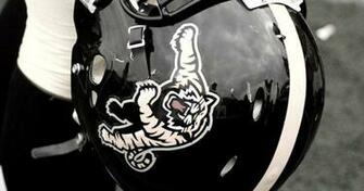 Ticats Name Scott Mitchell President Hamilton Tiger Cats