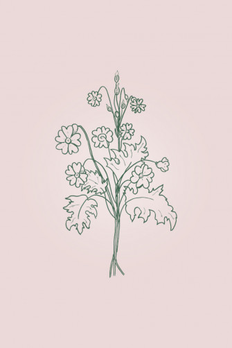 Spring Flower Trio Device Wallpaper Danielle Verderame Marketing