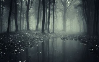 Gallery For HD Wallpaper Dark Forest