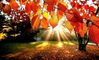 Fall Wallpaper Desktop Cool HD
