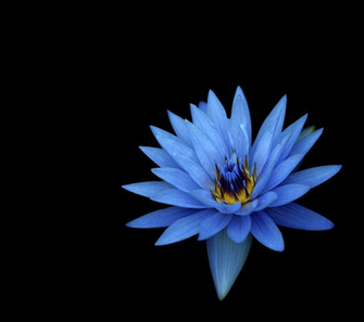 Sony Xperia Z3 Wallpaper Zum Bunt Abwechslungsreich Bild